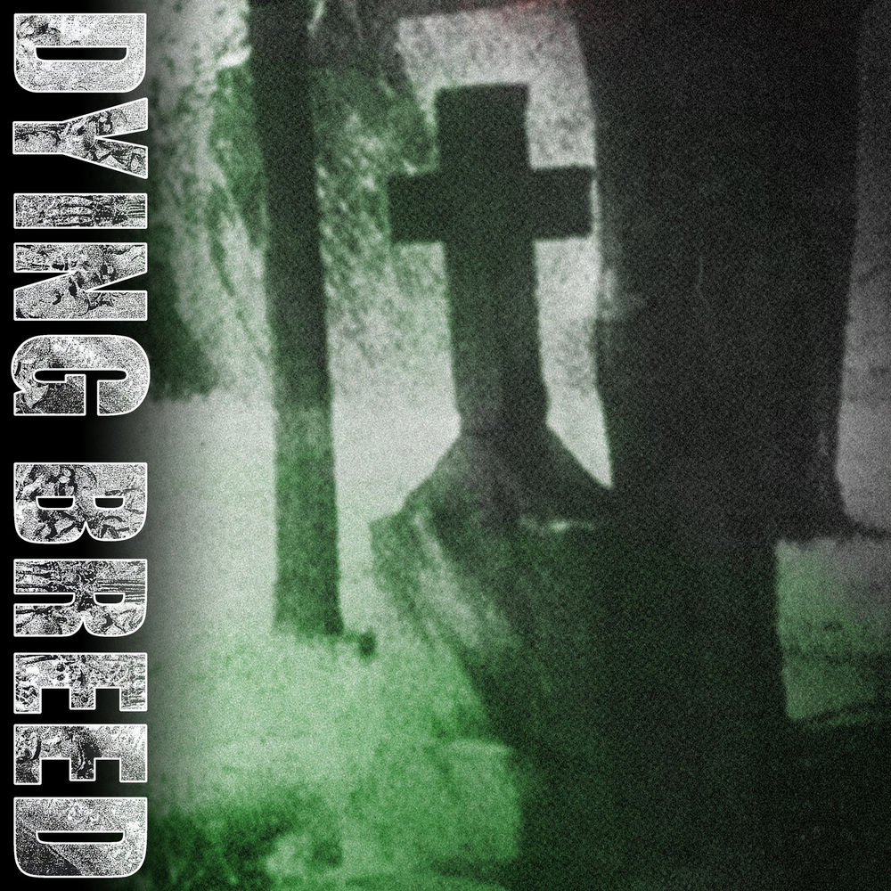Album artwork for Nothing to Prove by Dying Breed