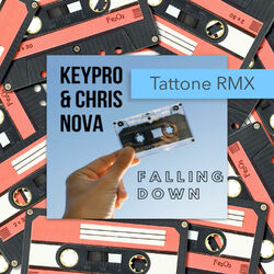 Cover of Falling Down