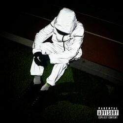 Cover of The Moon