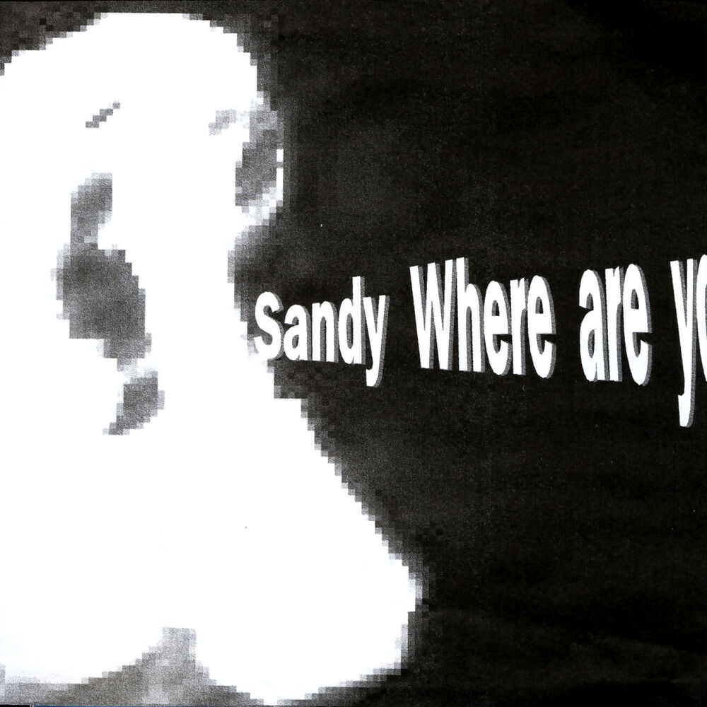 Picture of SANDY WHERE ARE YOU