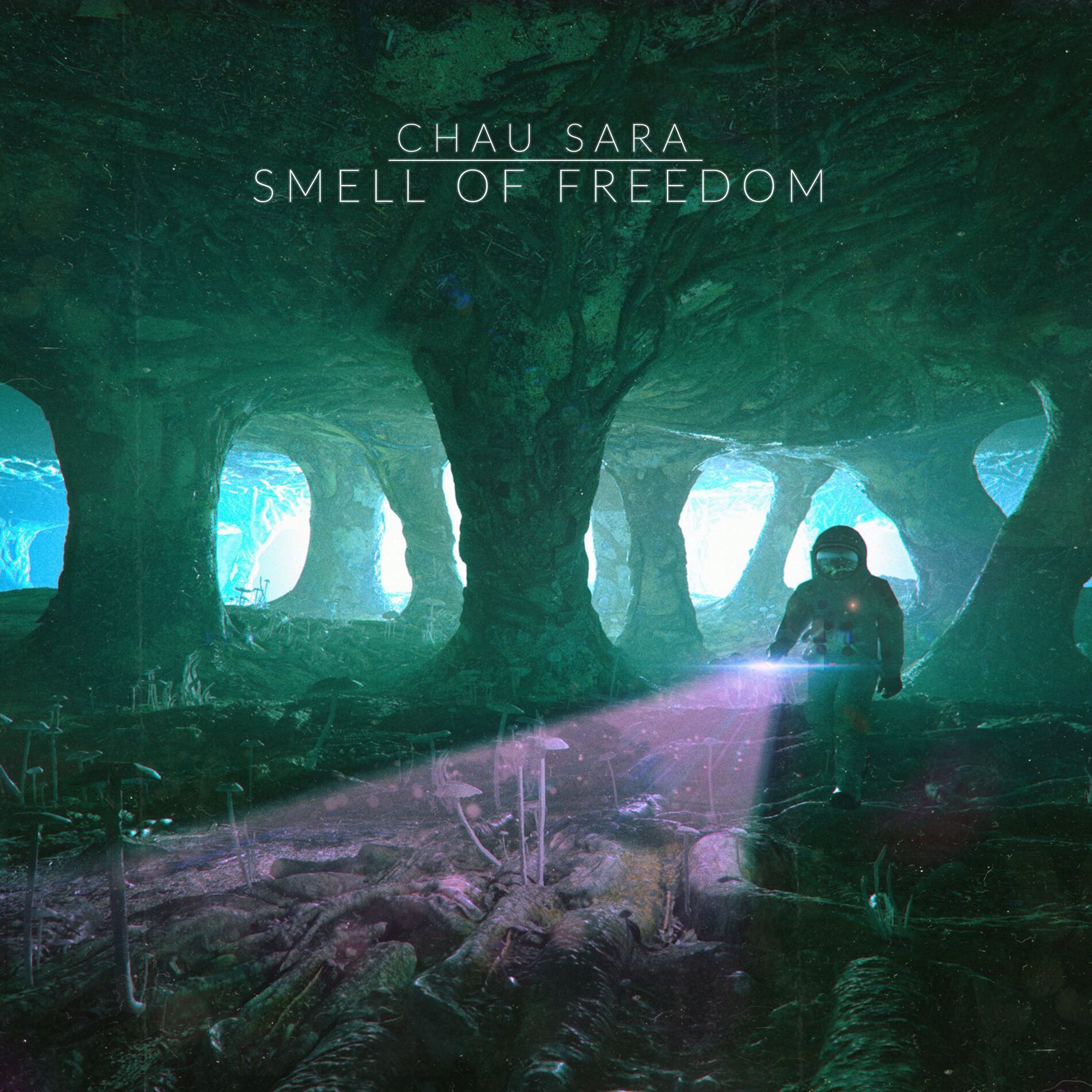 Album cover of Smell of Freedom