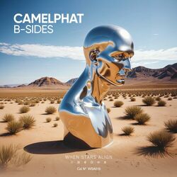 Cover of B-Sides