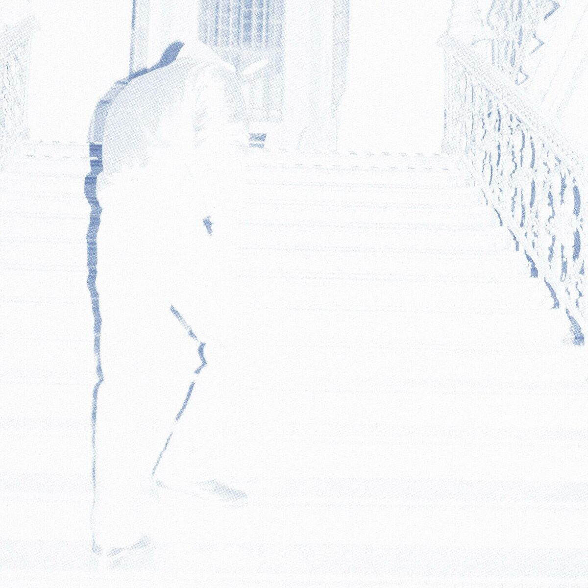 Album cover of verschwende mich