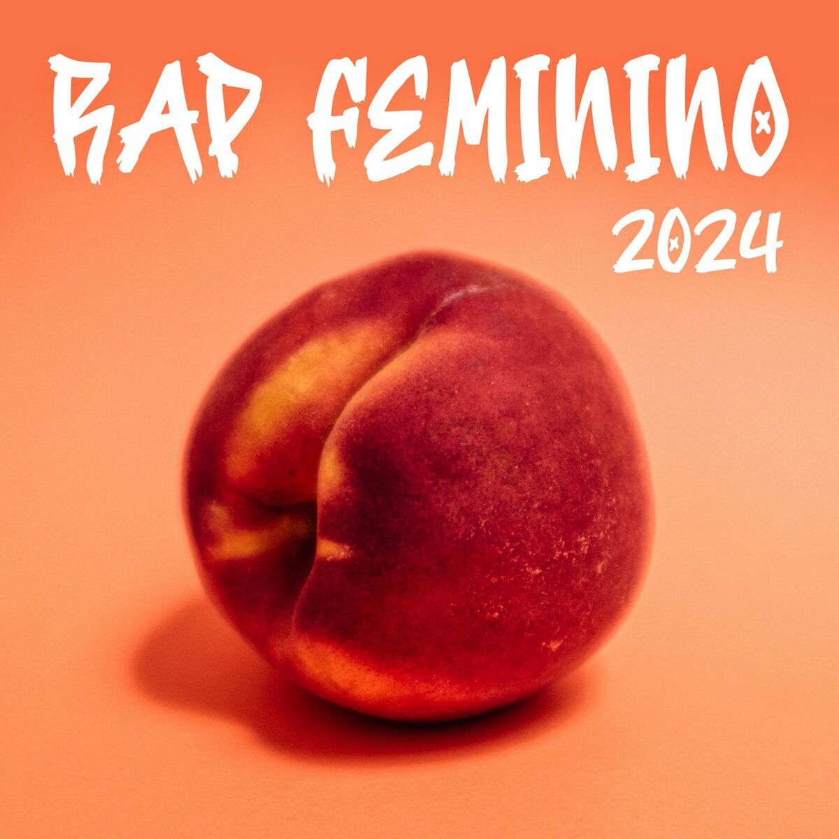 Album cover of Rap Feminino 2024