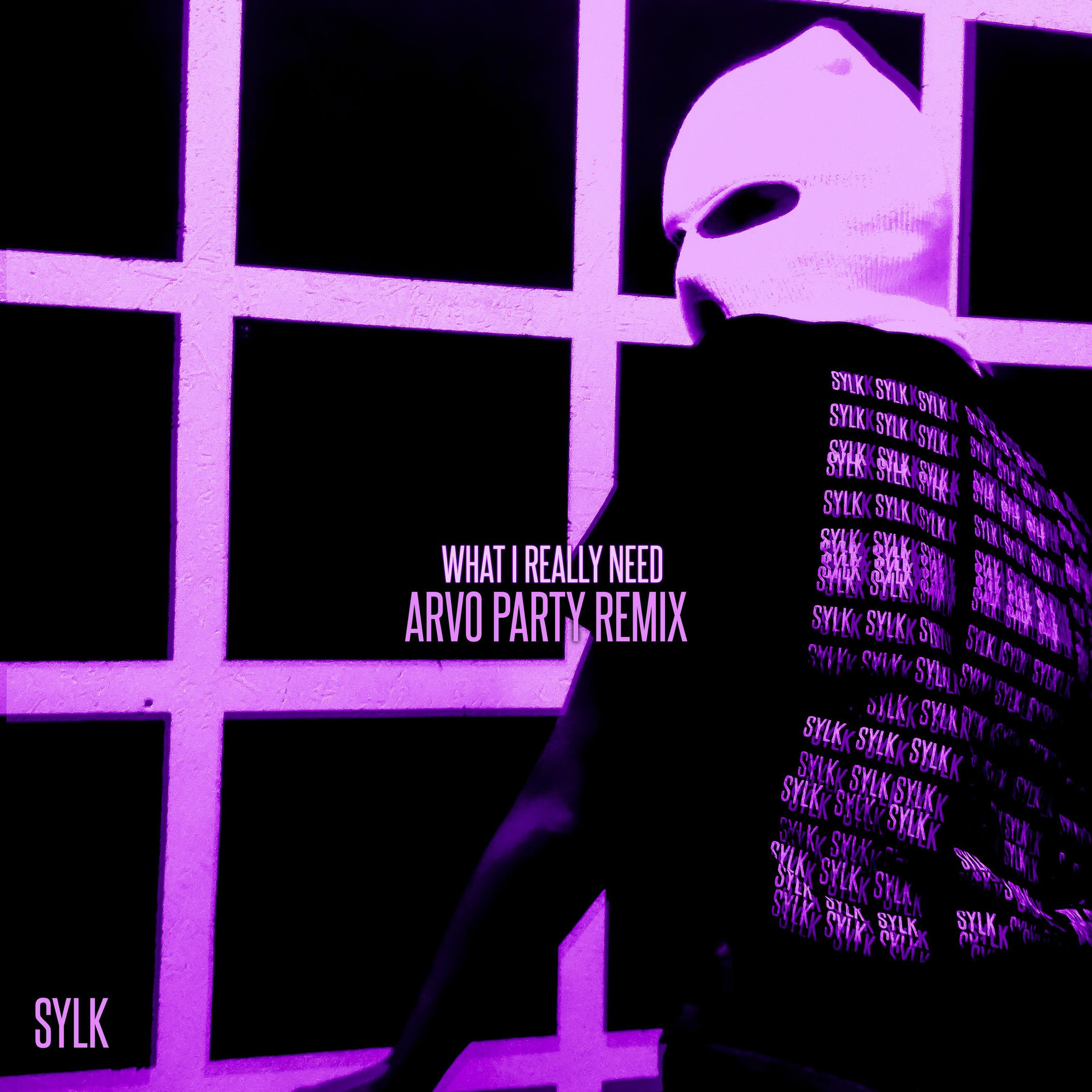 Album cover of what i really need