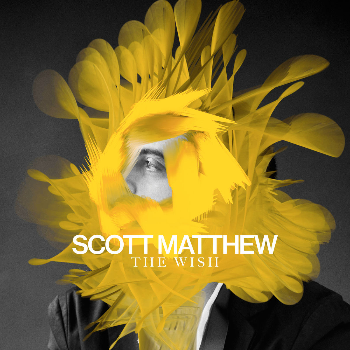 Album cover of The Wish