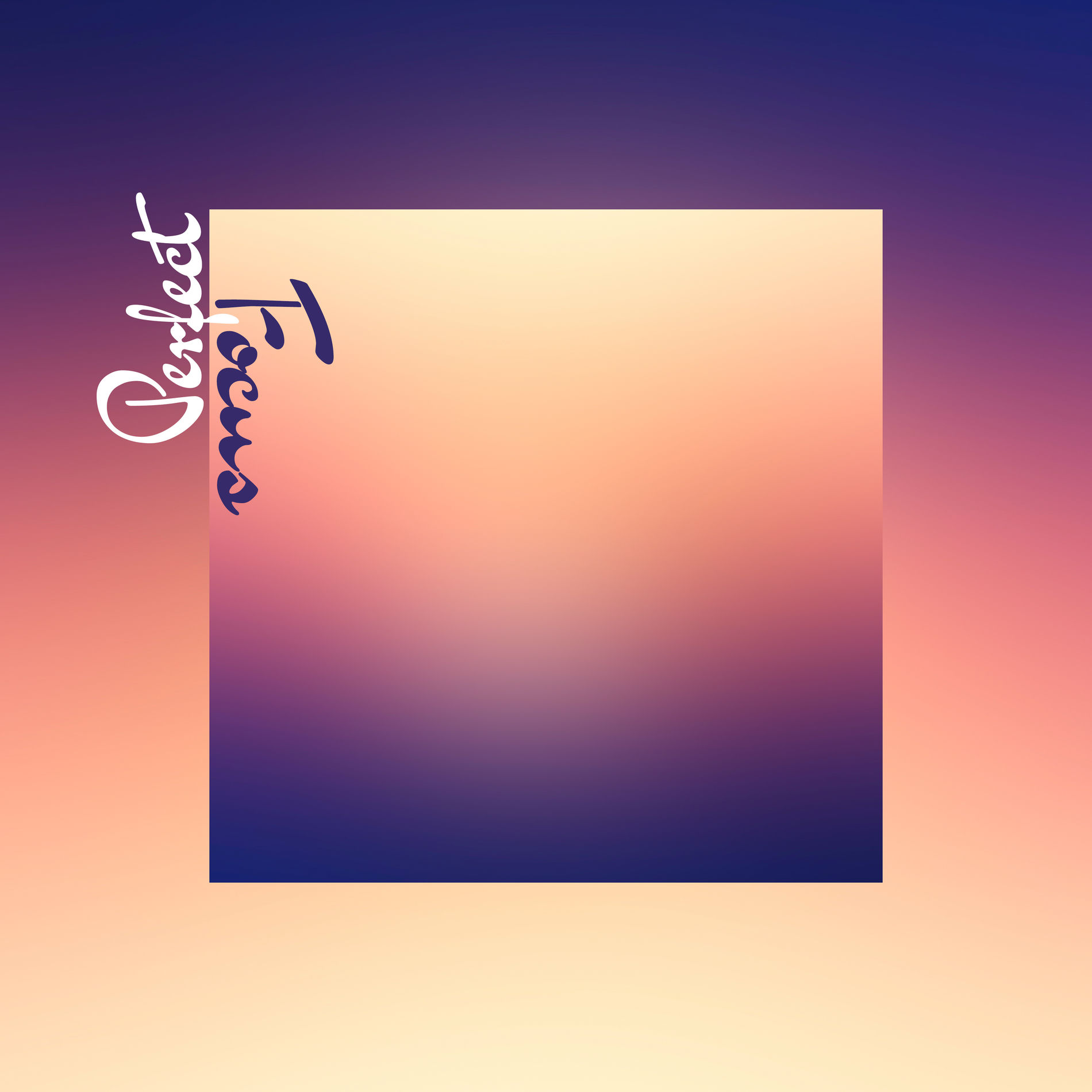 Album cover of Perfect Focus