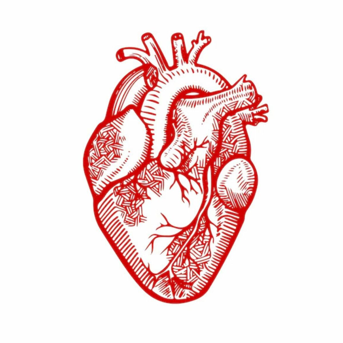Album cover of Preciso