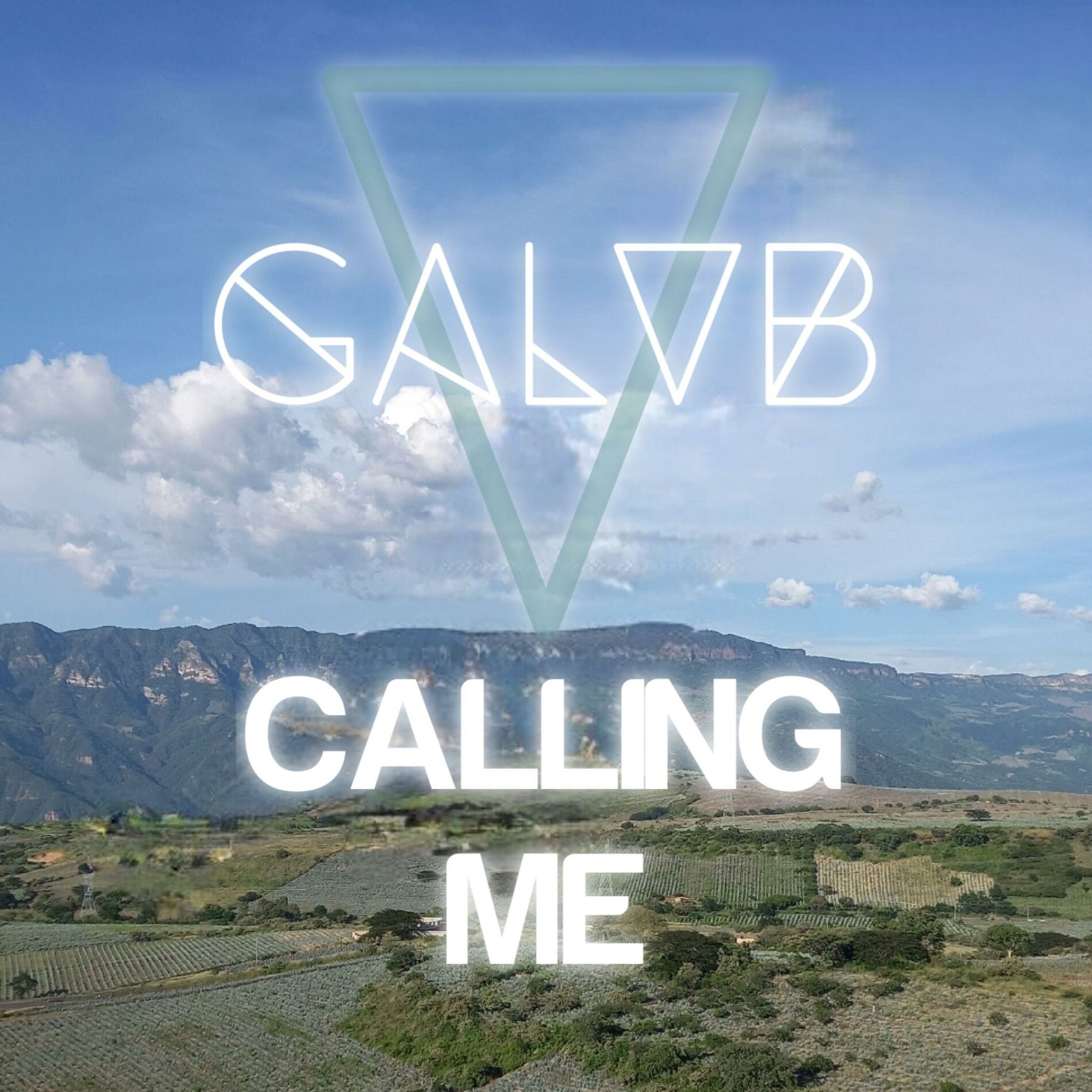 Album cover of Calling Me