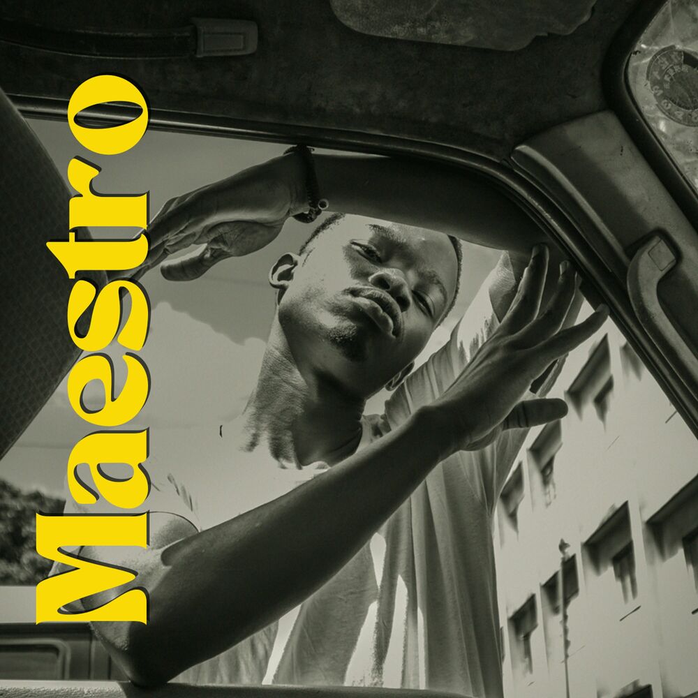 Picture of Maestro