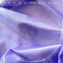 Cover of Gucci Slides