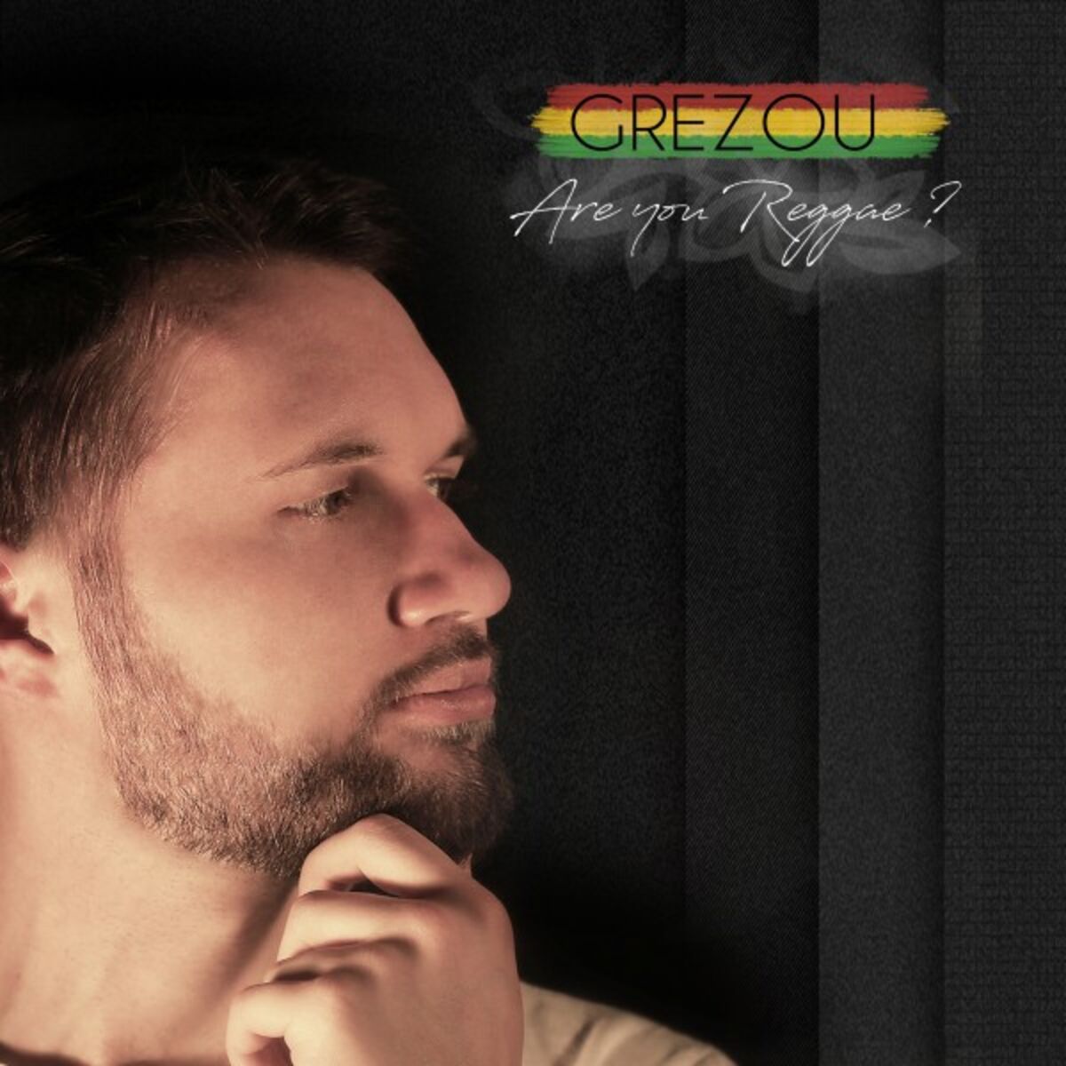 Album cover of Are You Reggae ?