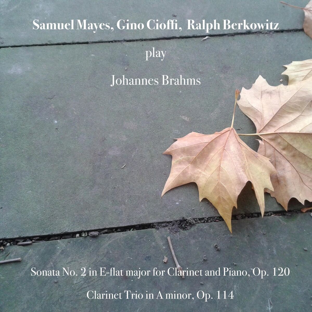 Album cover of Clarinet Trio in A Minor, Op. 114: III. Andantino grazioso