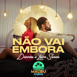Cover of Não Vai Embora