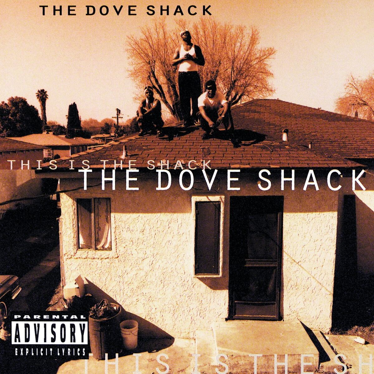 Album cover of Intro