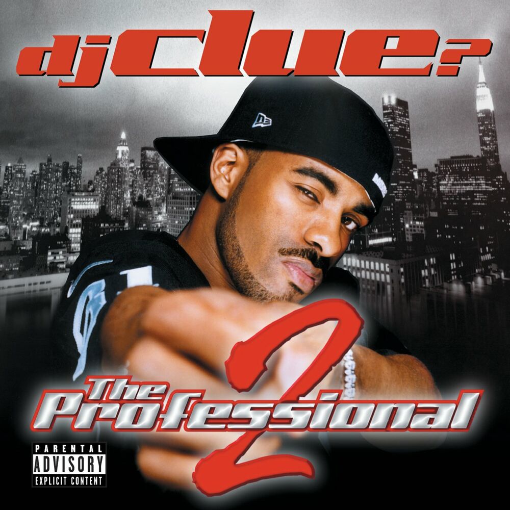 Picture of The Professional 2