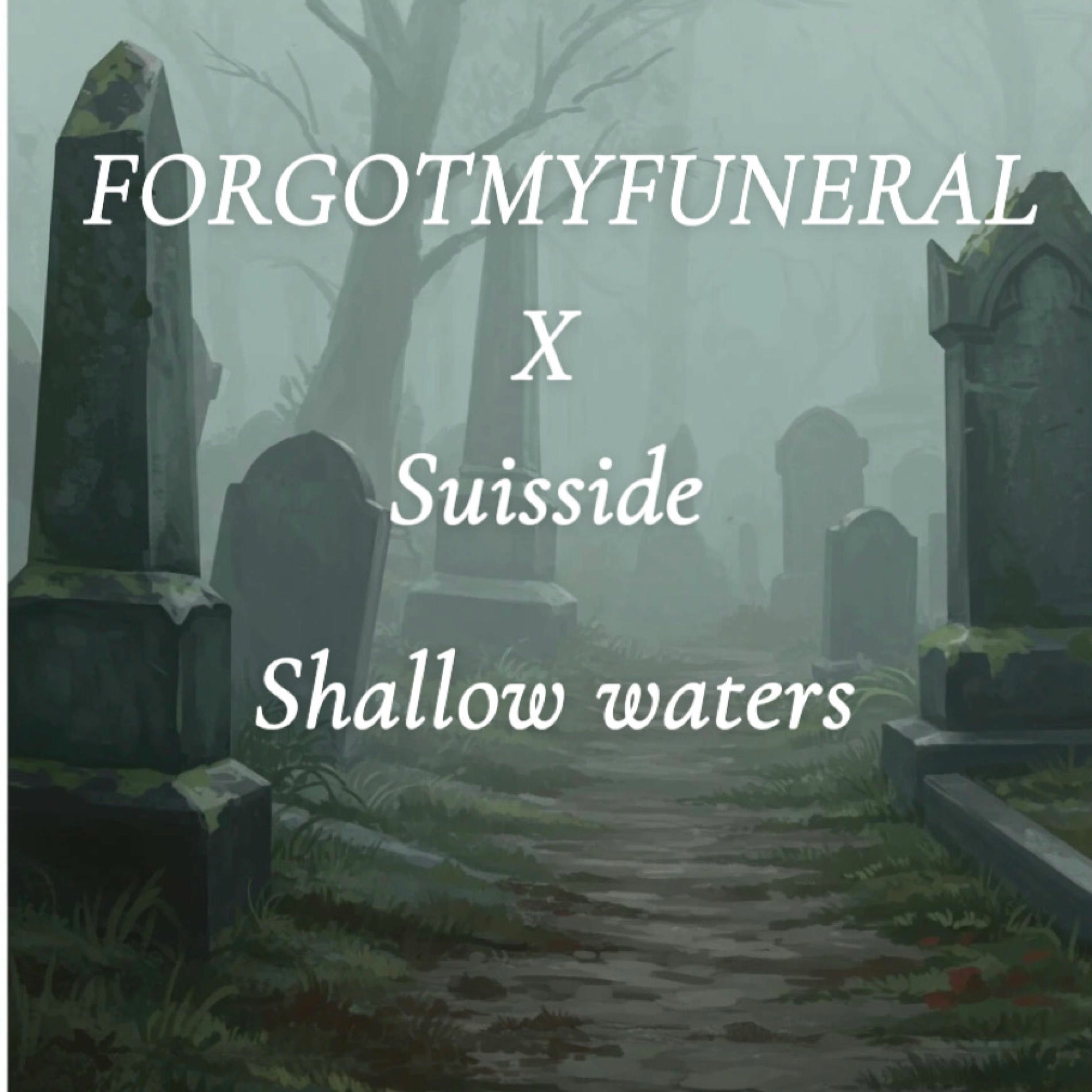 Album cover of Shallow Waters (feat. Suisside)