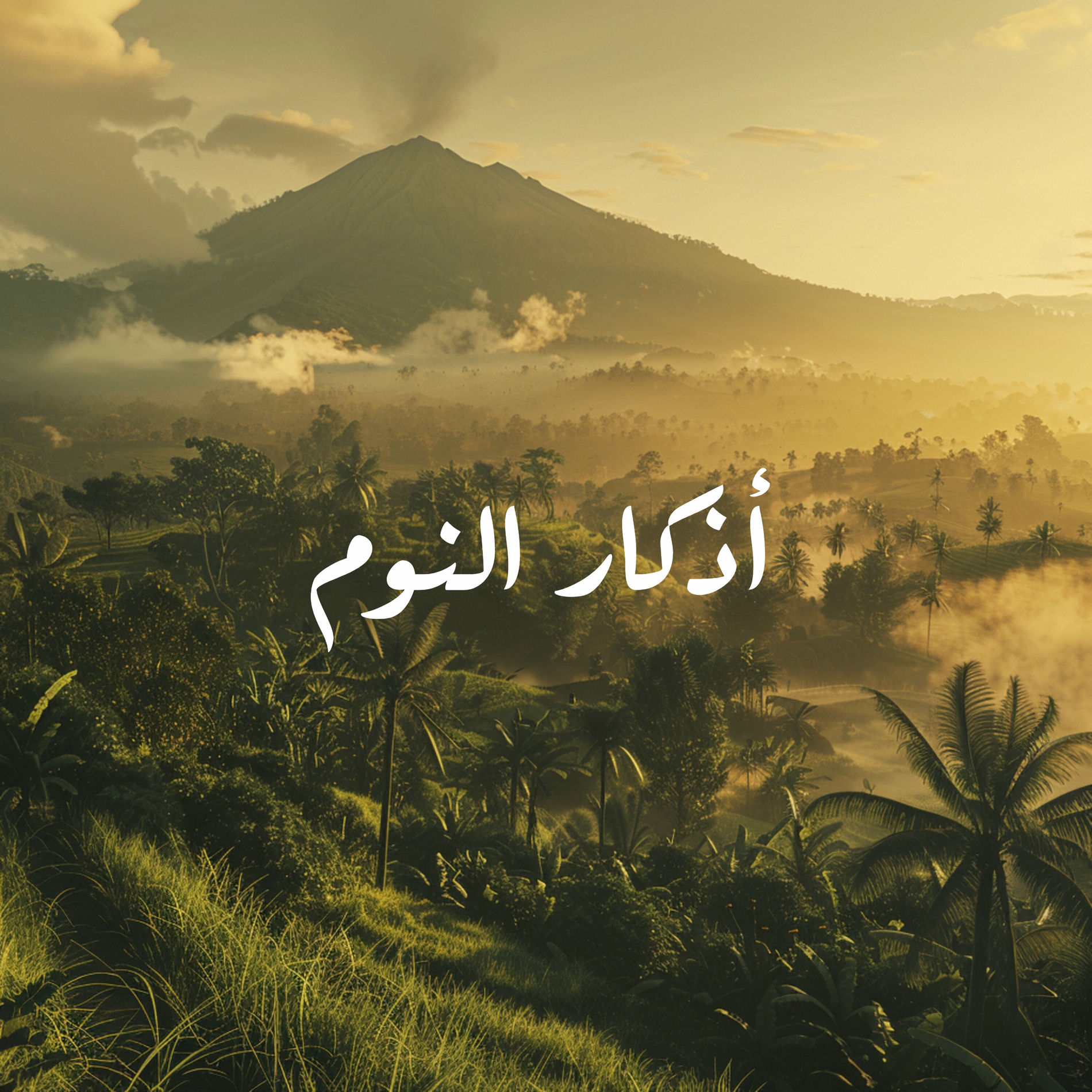 Album cover of أذكار النوم