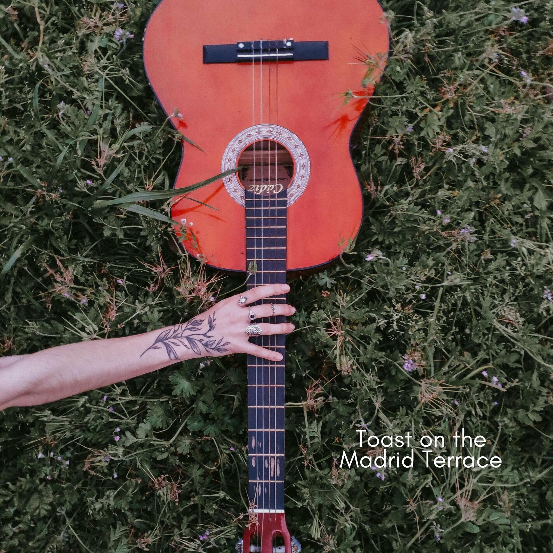 Album cover of Toast on the Madrid Terrace