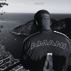 Cover of VIAJO