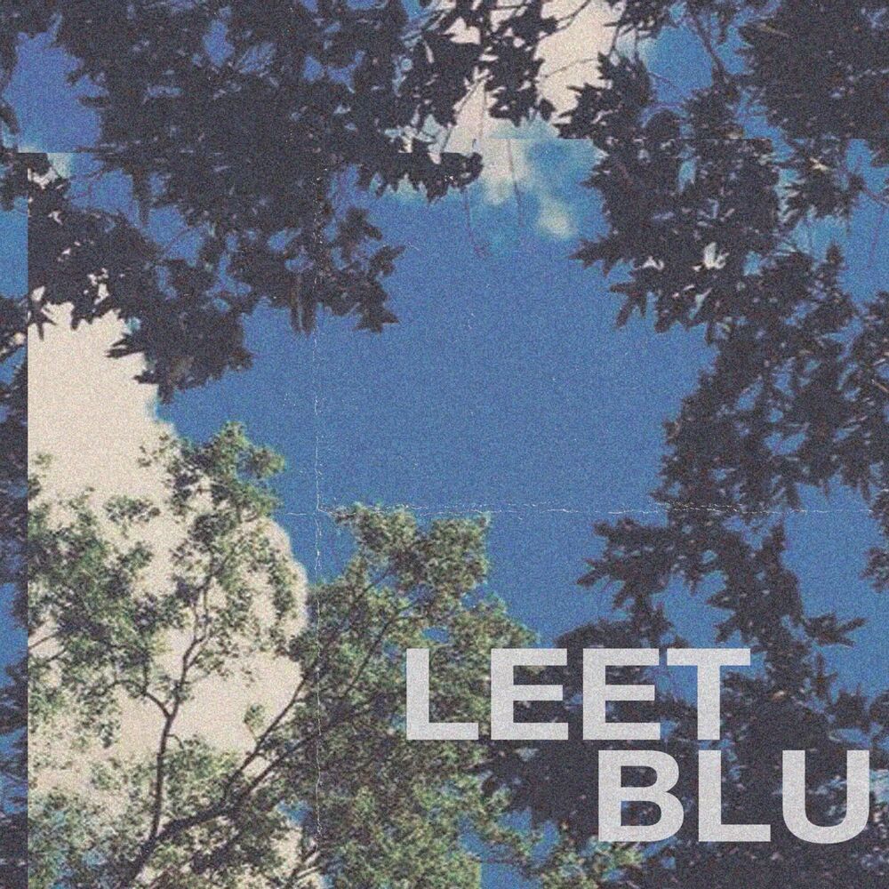 Picture of Blu