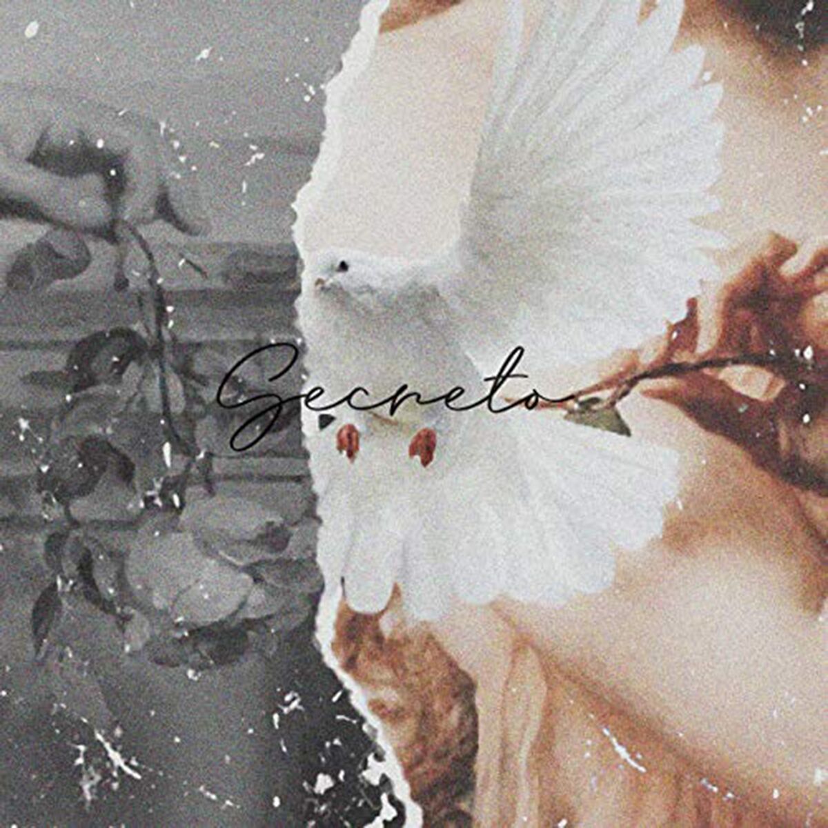 Album cover of Secreto