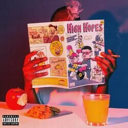 Cover of High Hopes