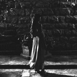 Cover of Sin