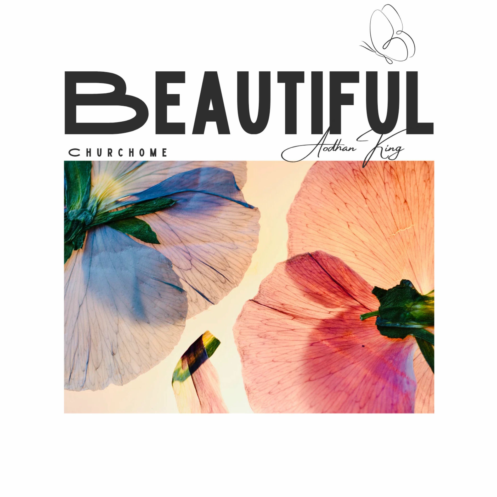 Album cover of Beautiful