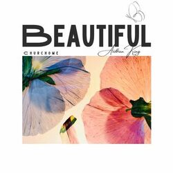 Cover of Beautiful