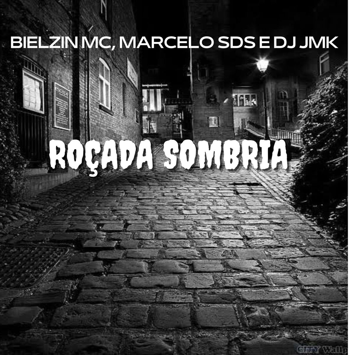 Album cover of ROÇADA SOMBRIA