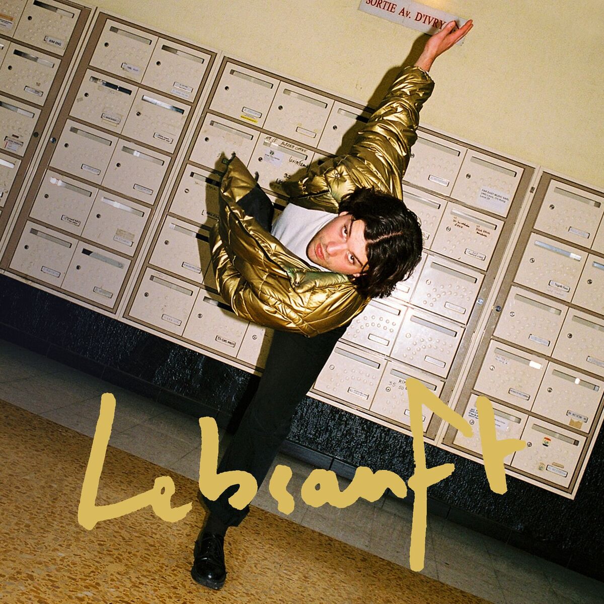 Album cover of Lebsanft