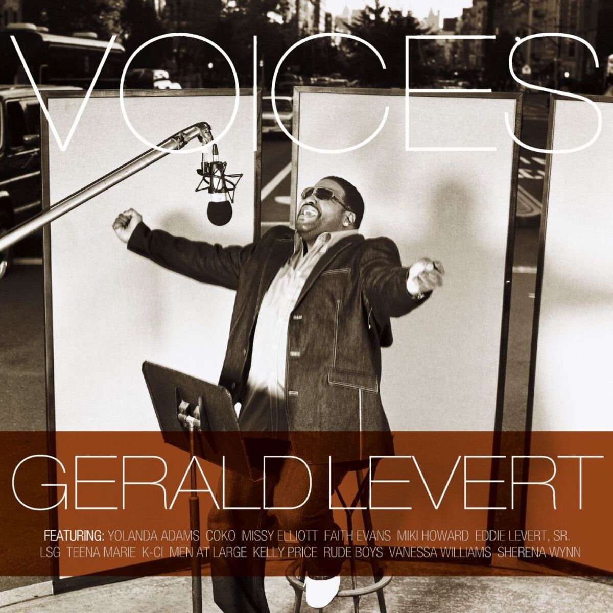 Album cover of Voices