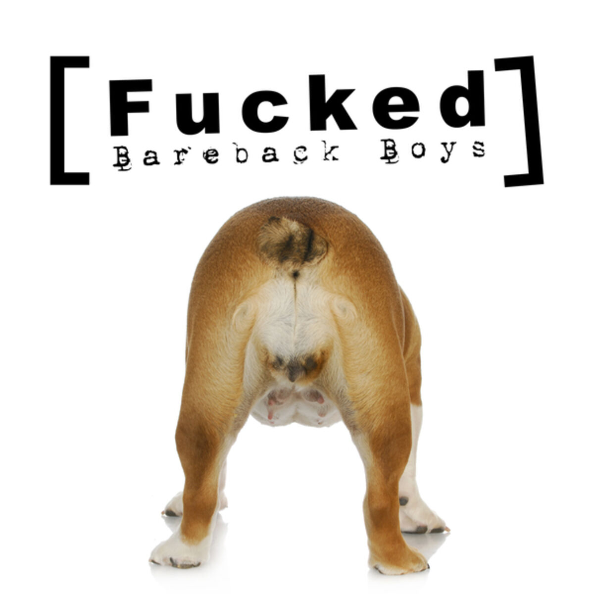 Album cover of Fucked