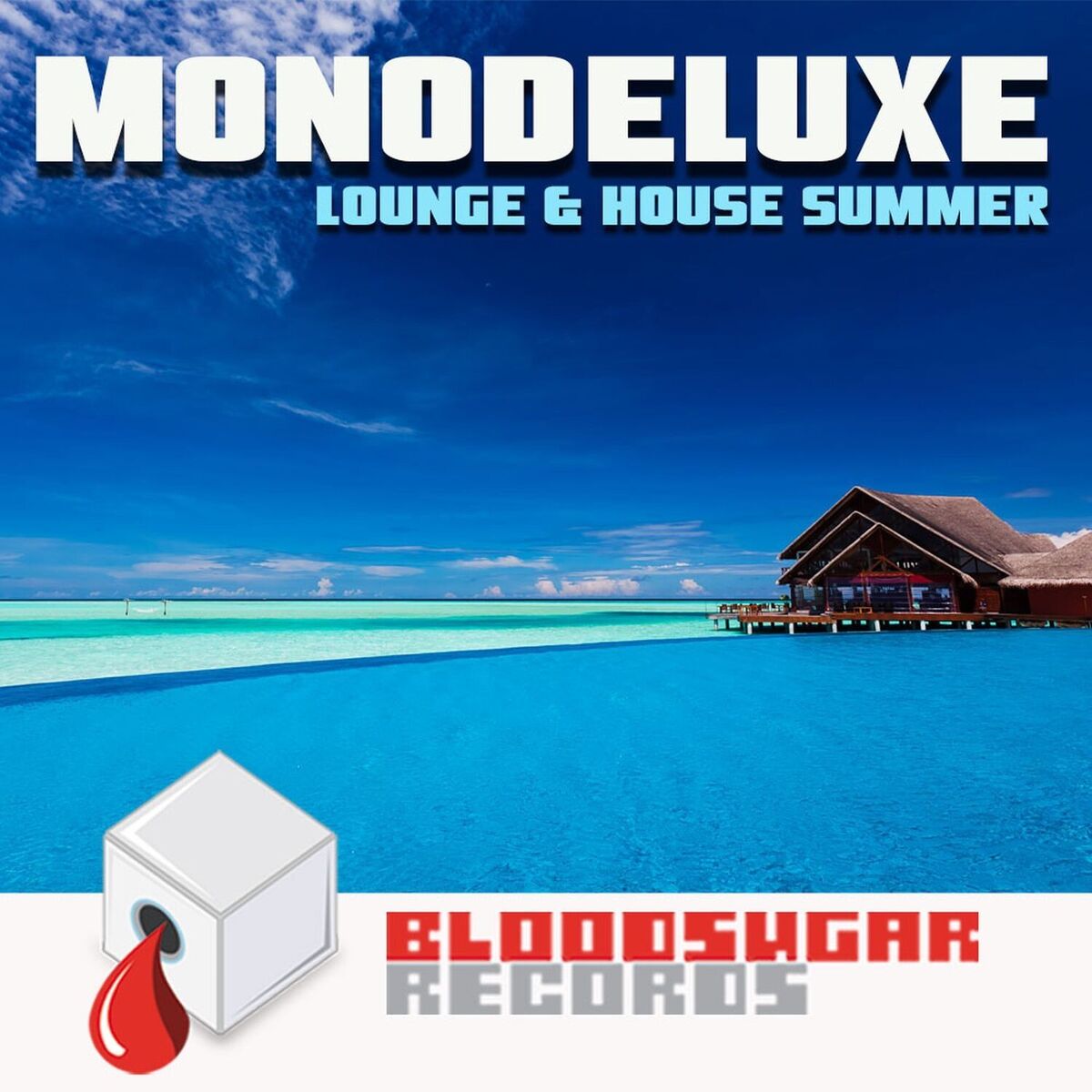 Album cover of Lounge & House Summer