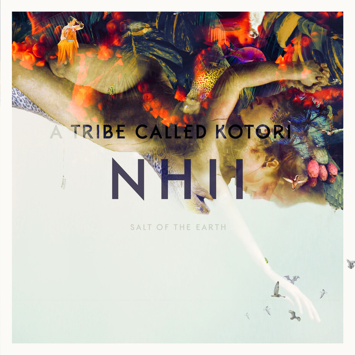 Album cover of Salt of the Earth