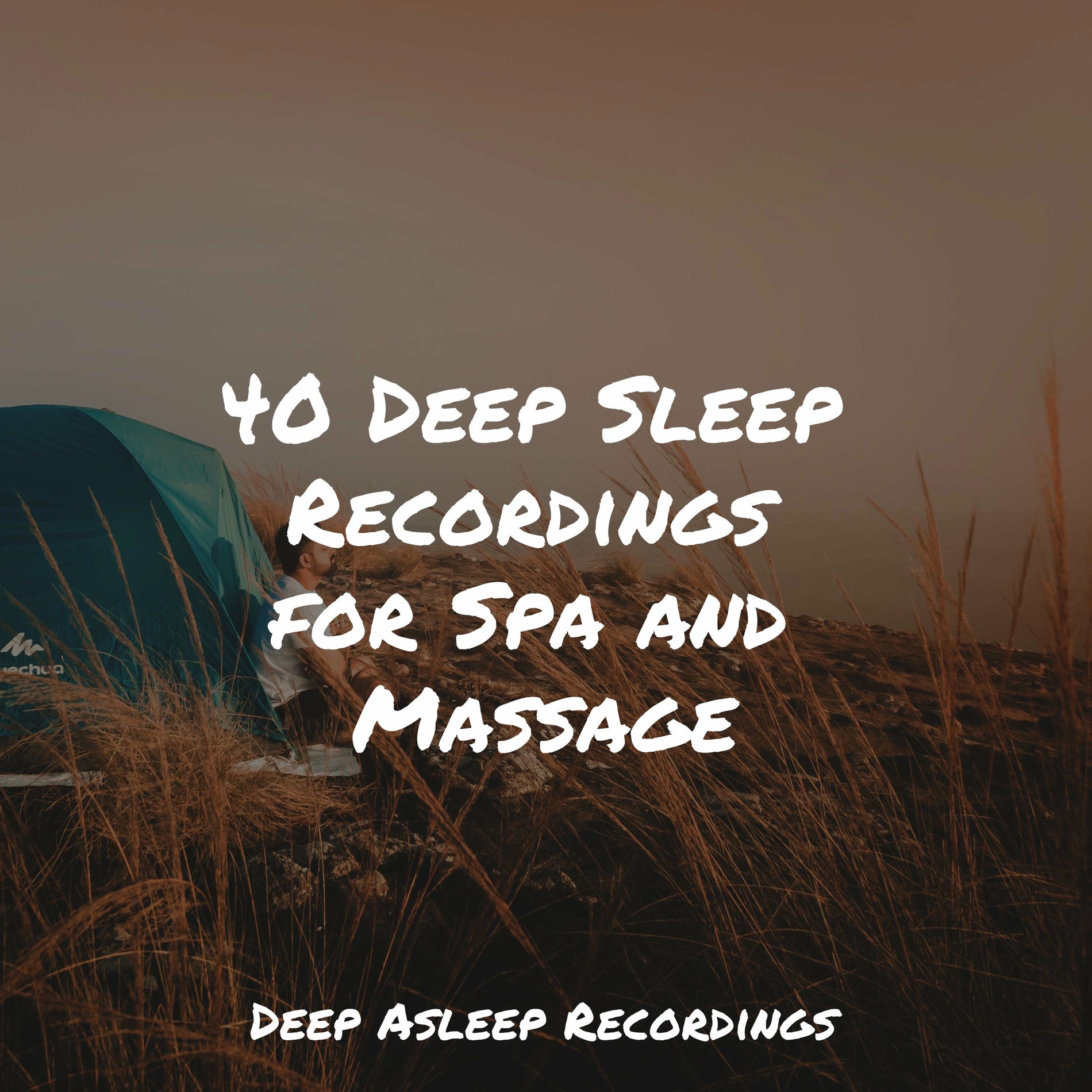 Album cover of 40 Deep Sleep Recordings for Spa and Massage