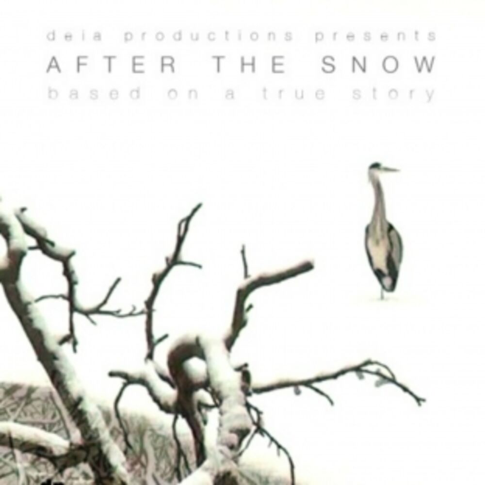 Picture of After The Snow (Original short film score)