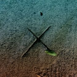 Cover of Treasure Spot