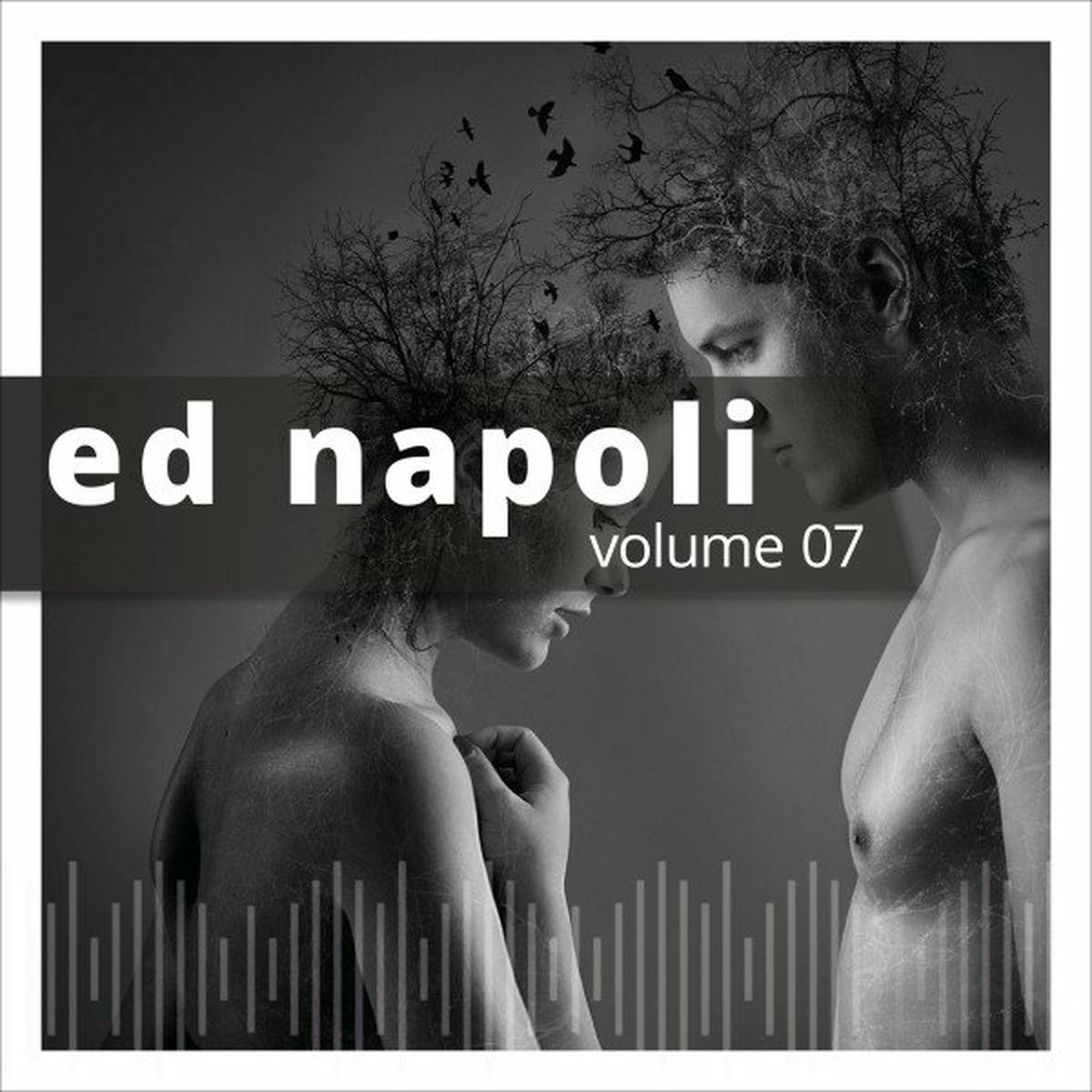 Album cover of Ed Napoli, Vol. 7