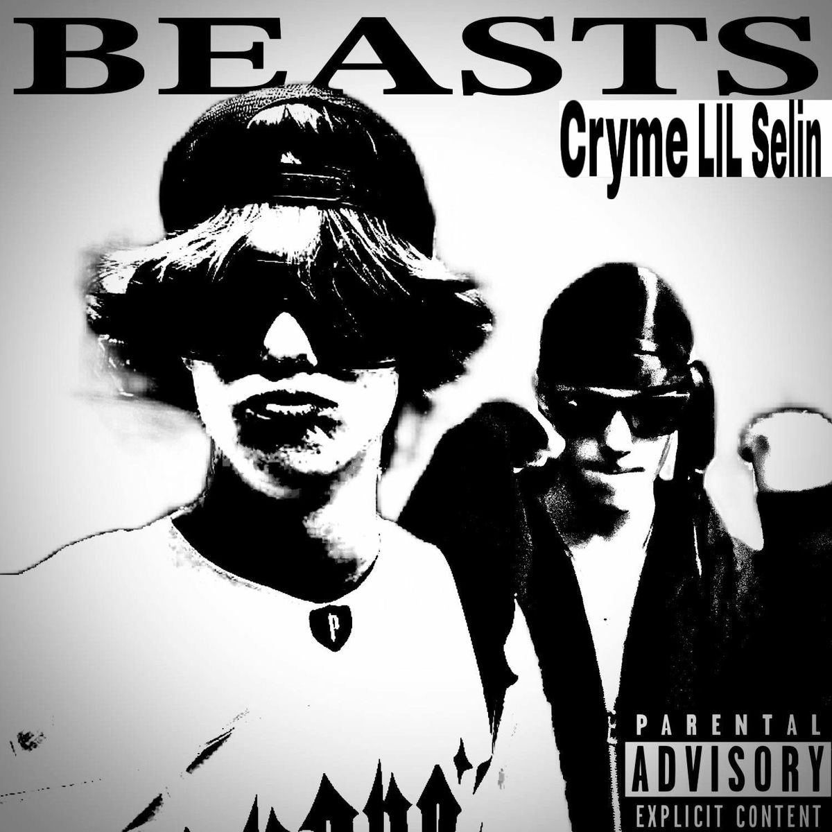 Album cover of BEAST