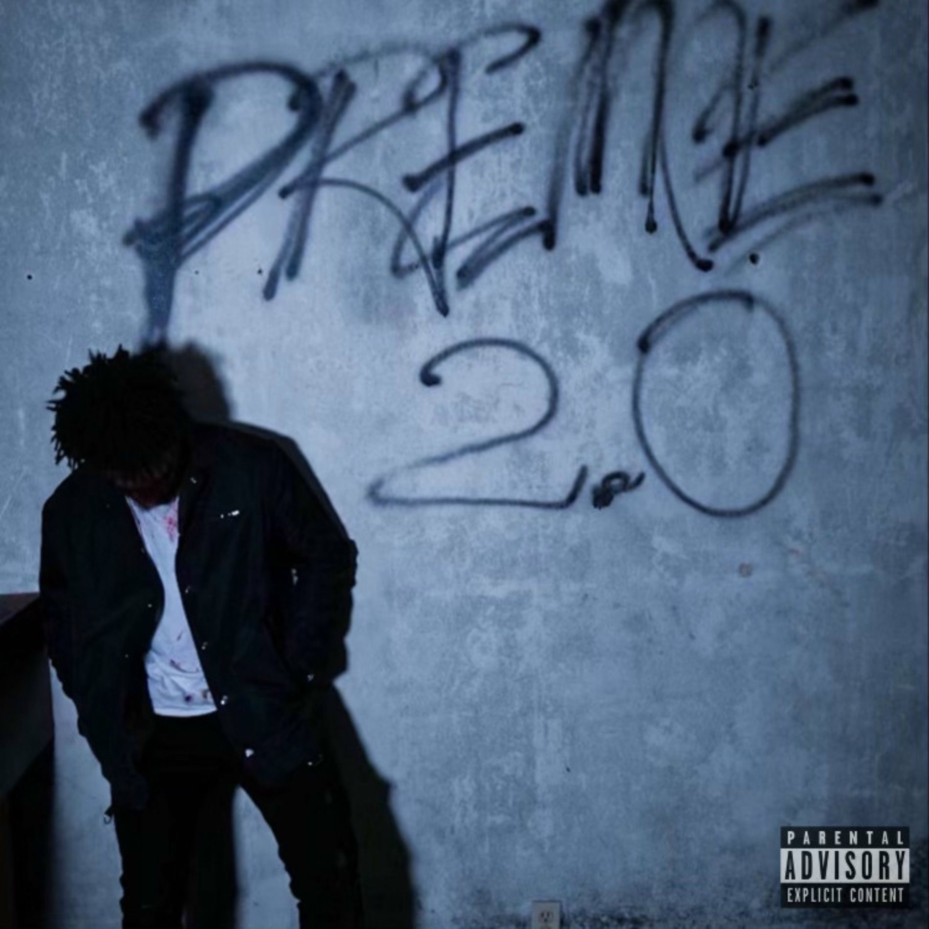 Album cover of Preme 2.0