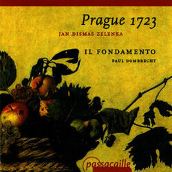 Cover of Zelenka: Instrumental Works