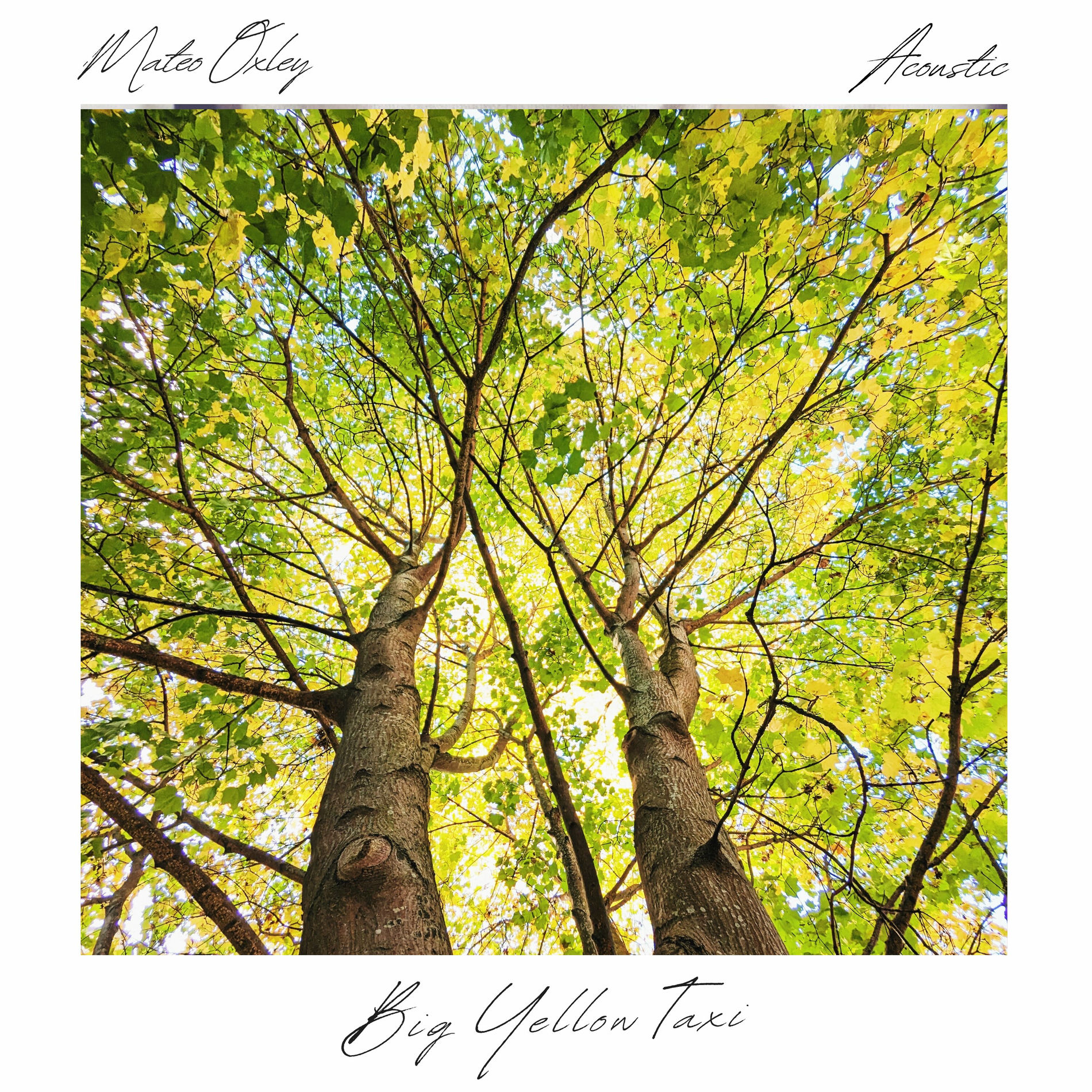 Album cover of Big Yellow Taxi