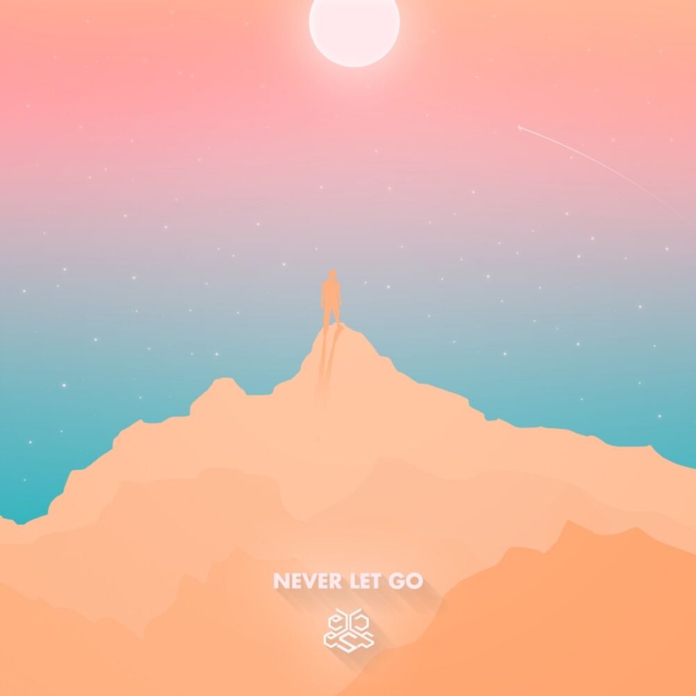 Picture of Never Let Go
