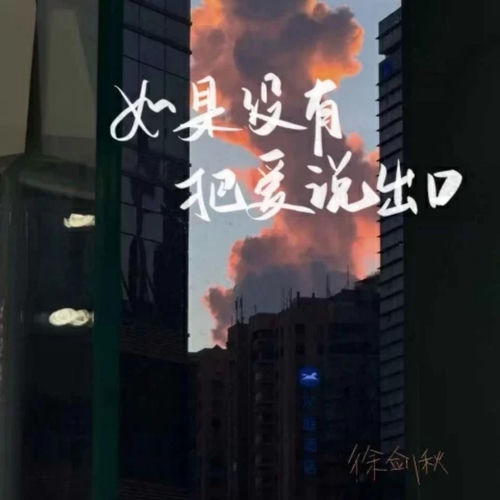 如果没有把爱说出口