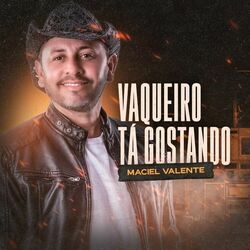 Cover of Vaqueiro Tá Gostando