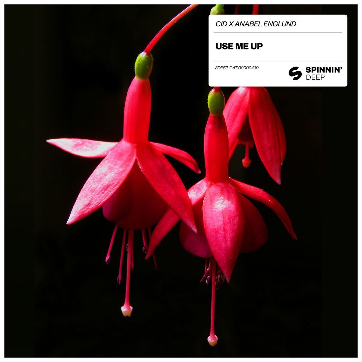Album cover of Use Me Up