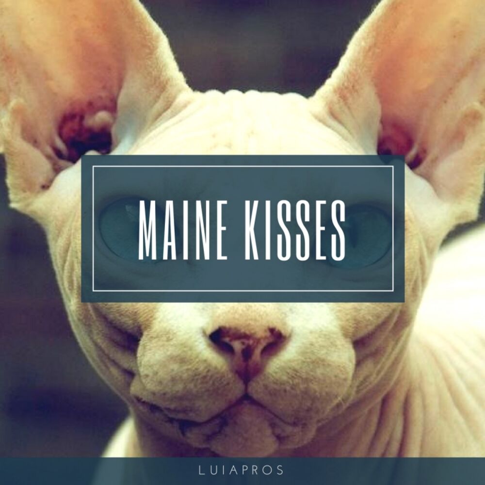Picture of Maine Kisses