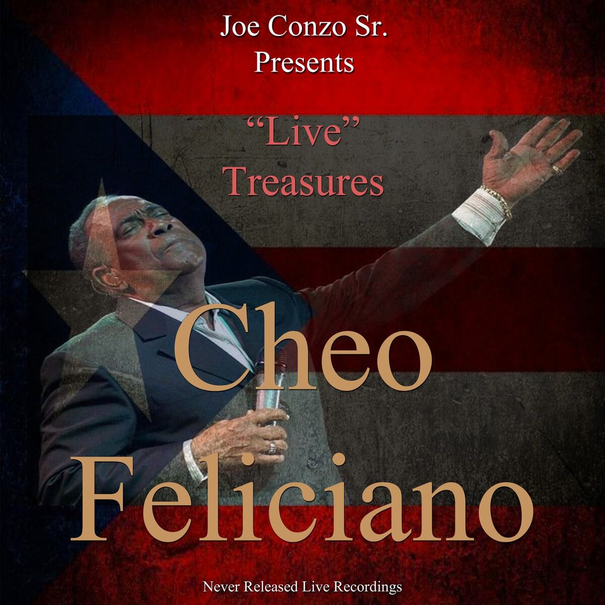 Album cover of Live Treasures